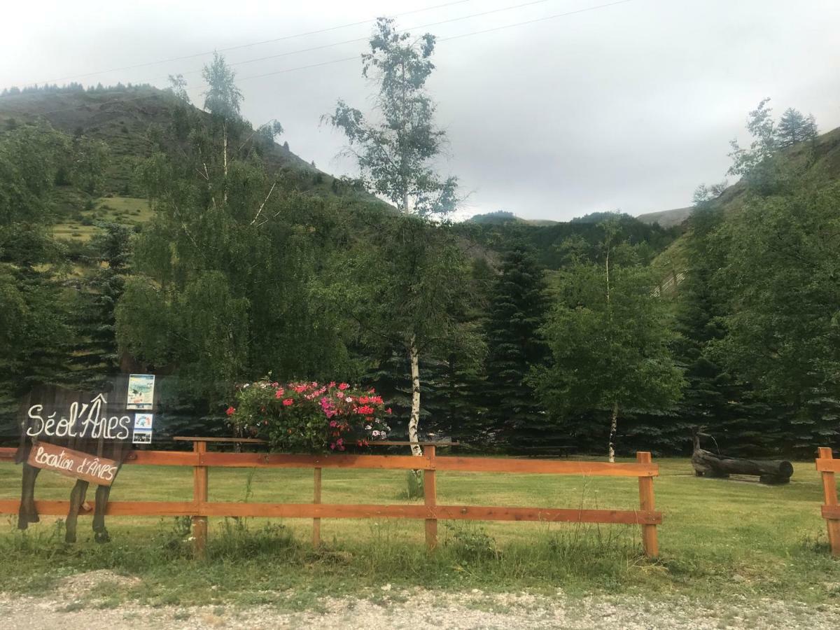 Studio Chaleureux A La Foux D'拉富 外观 照片